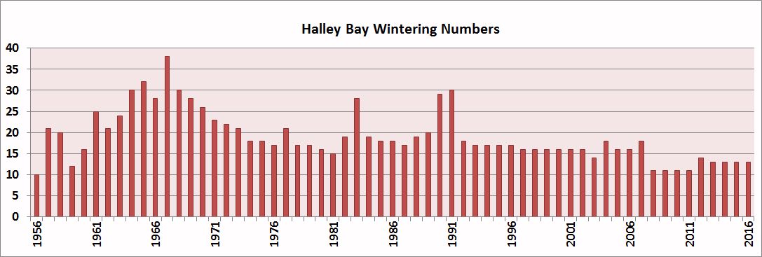 Halley Bay Wintering Complements